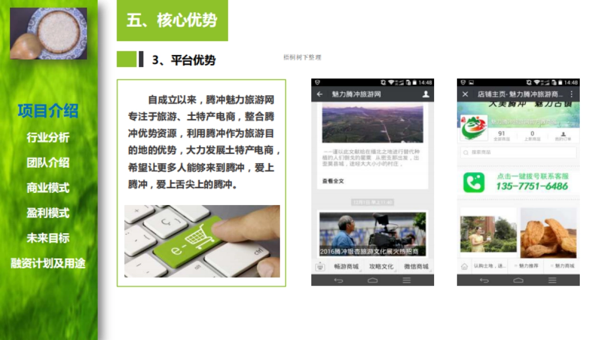 腾冲魅力网络科技有限公司商业计划书_第9页