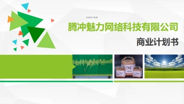 腾冲魅力网络科技有限公司商业计划书