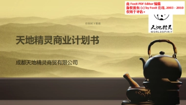 天地精灵商业计划书
