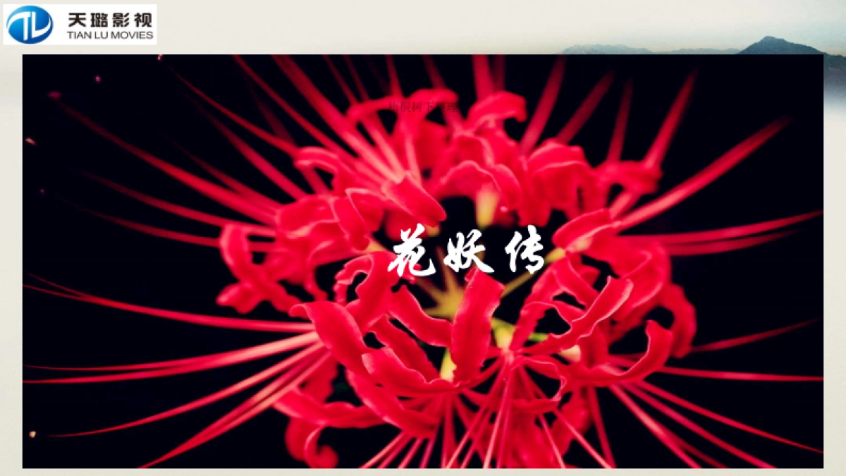 天璐影视文化传媒（北京）有限公司商业计划书_第6页