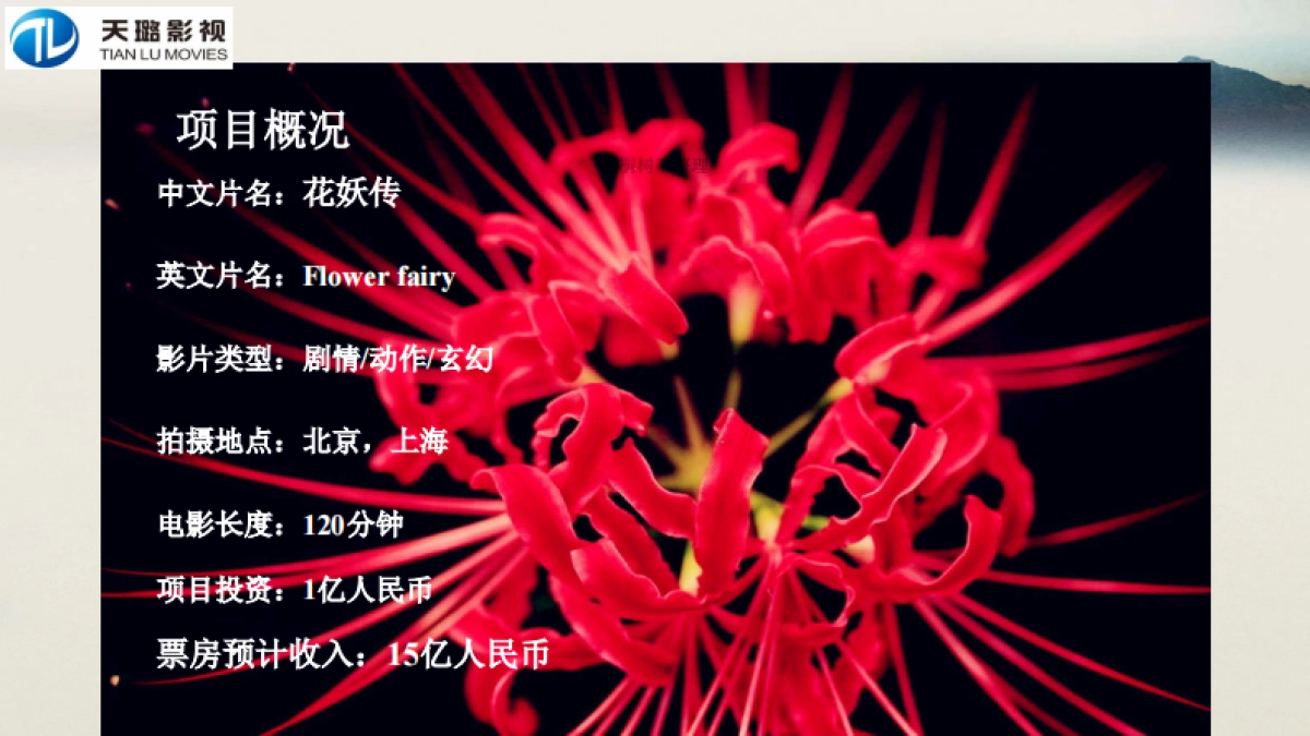 天璐影视文化传媒（北京）有限公司商业计划书_第7页