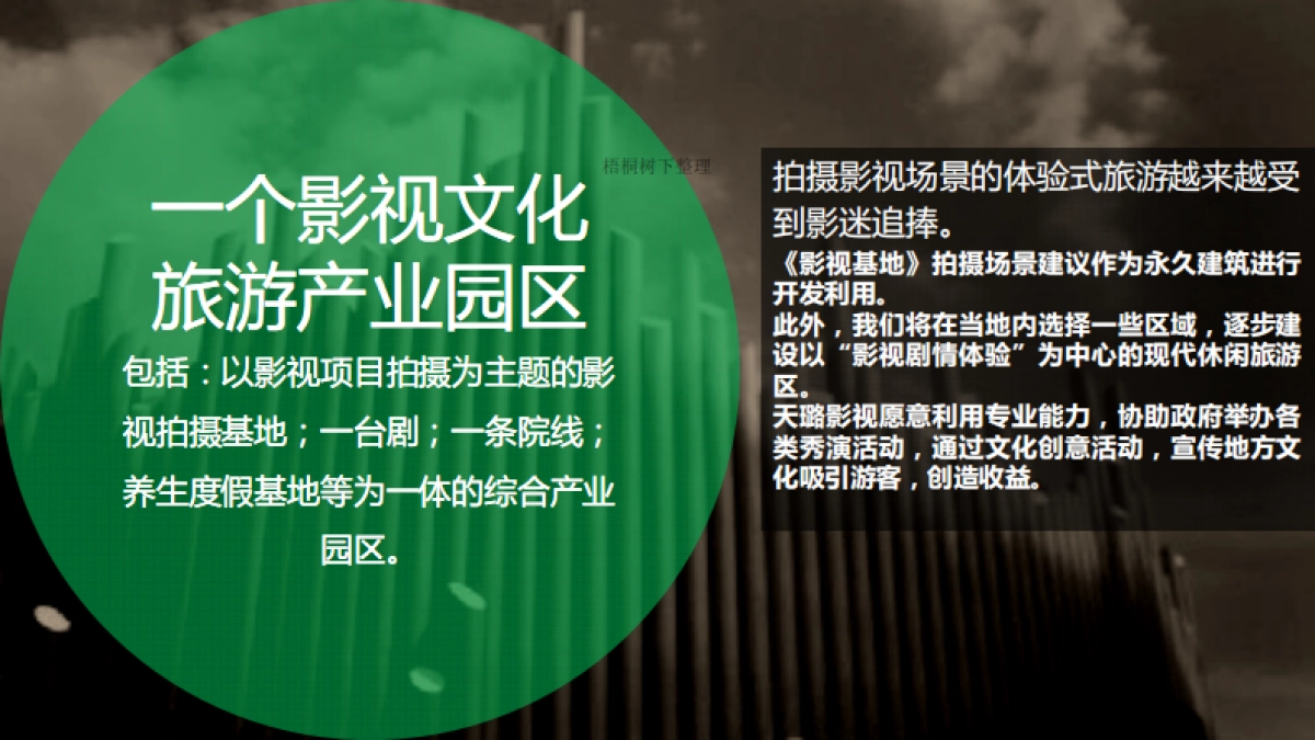 天璐影视文化传媒（北京）有限公司商业计划书_第9页