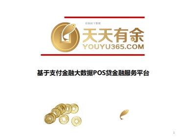 天天有余商业计划书