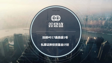 投顾30017鑫鼎盛1号私募证券投资基金.商业计划书