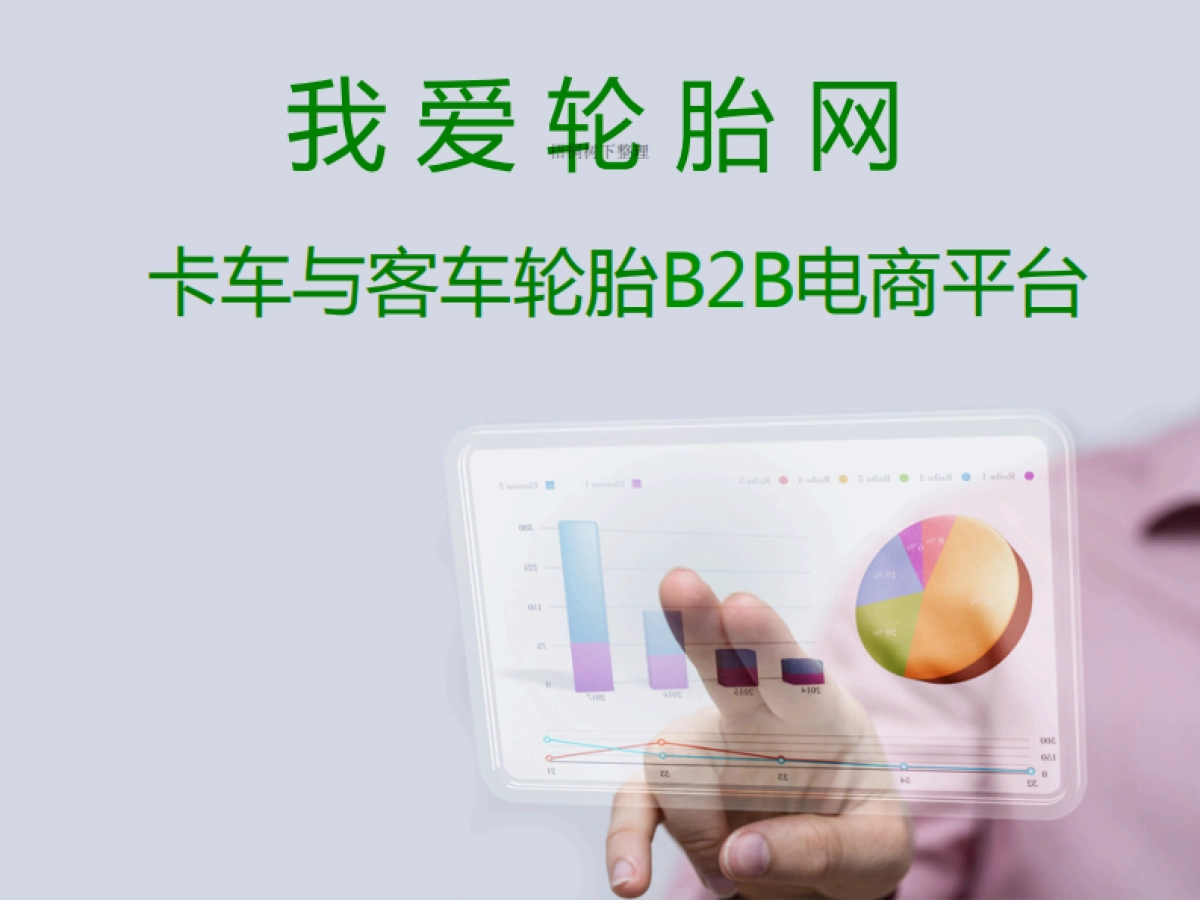 我爱轮胎网商业计划书_第1页