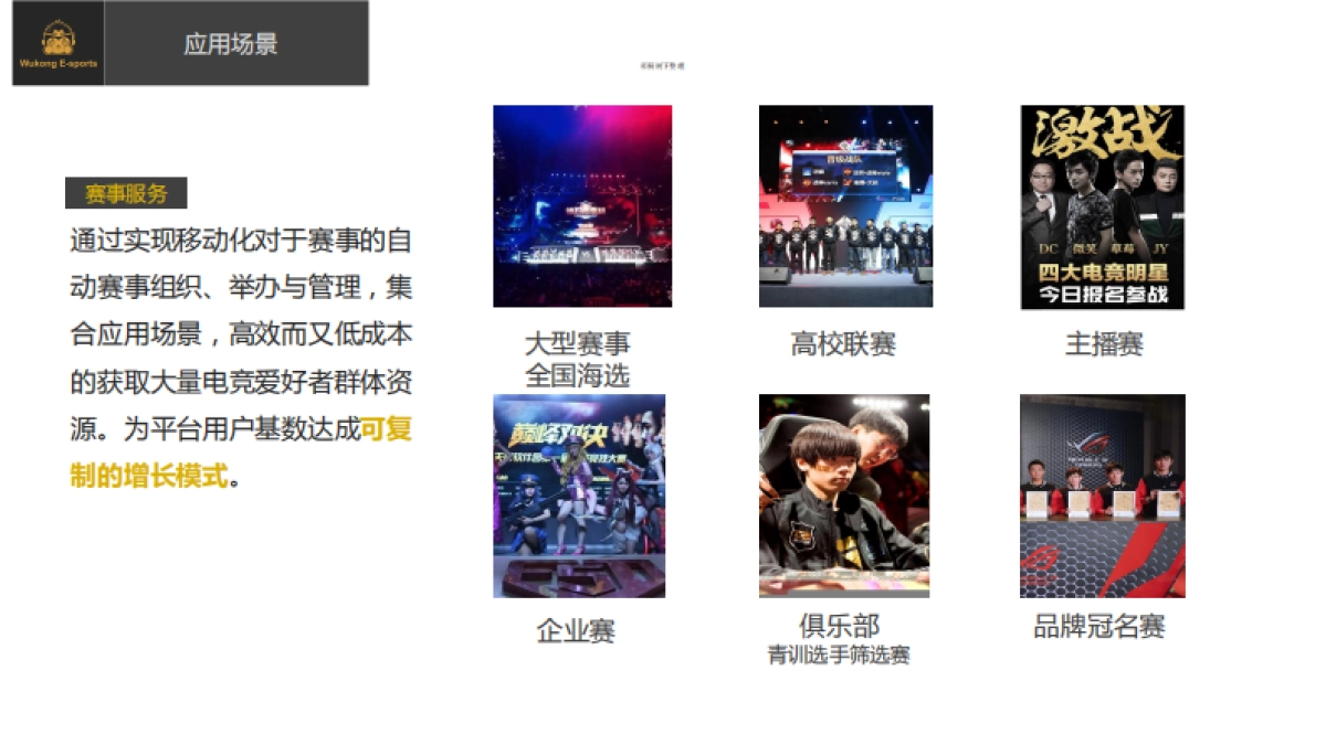 悟空电竞Pre-A融资.商业计划书_第10页