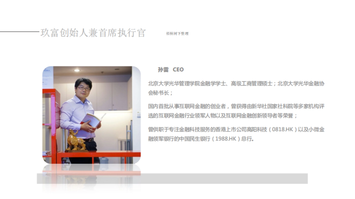 中国领先的移动互联网金融服务平台商业计划书_第3页