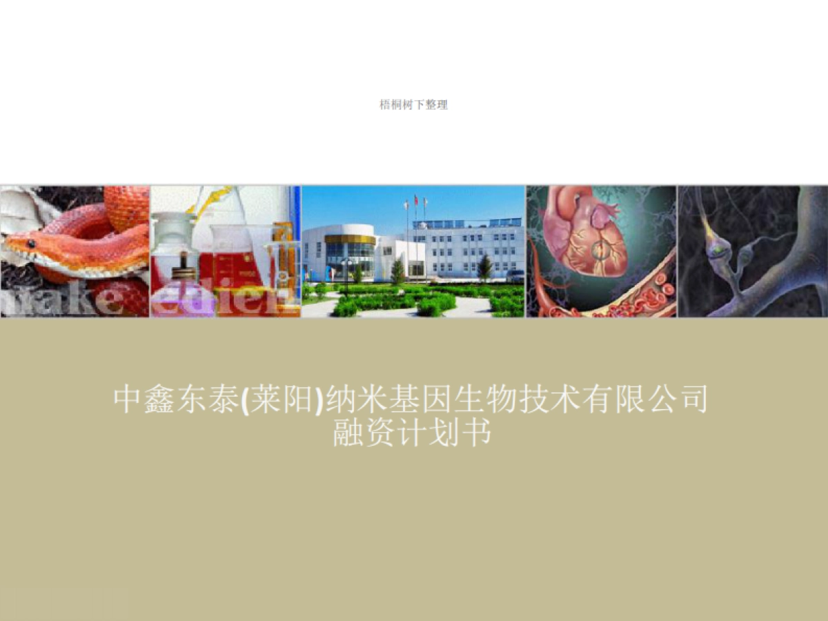 中鑫东泰商业计划书_第1页