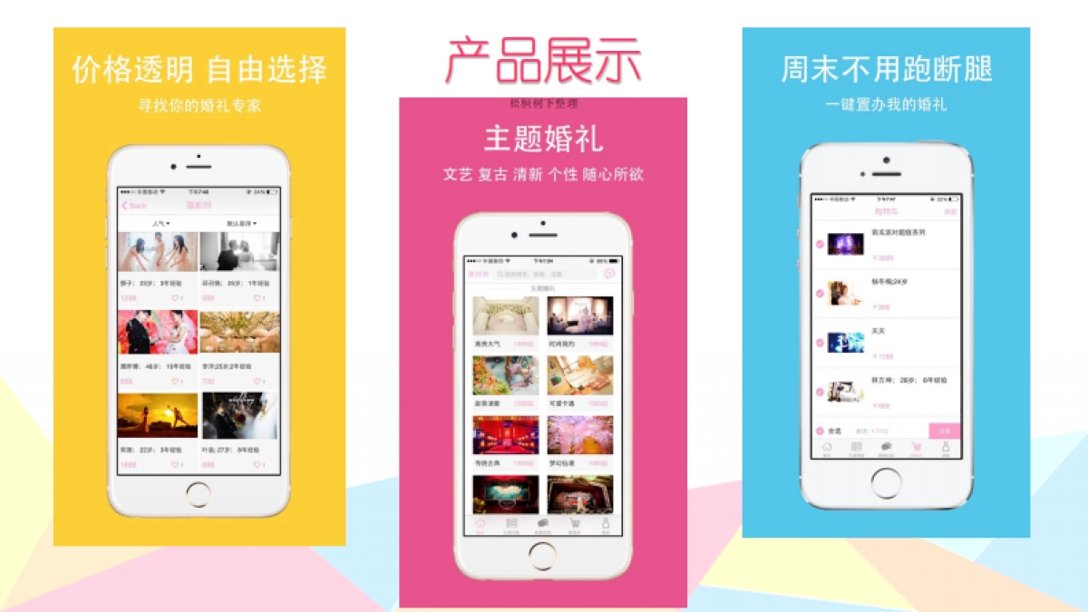 心婚派商业计划书_第8页