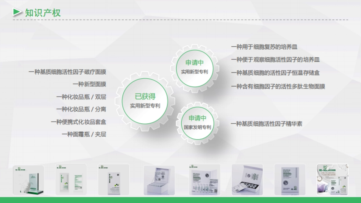 新活细胞商业计划_第8页