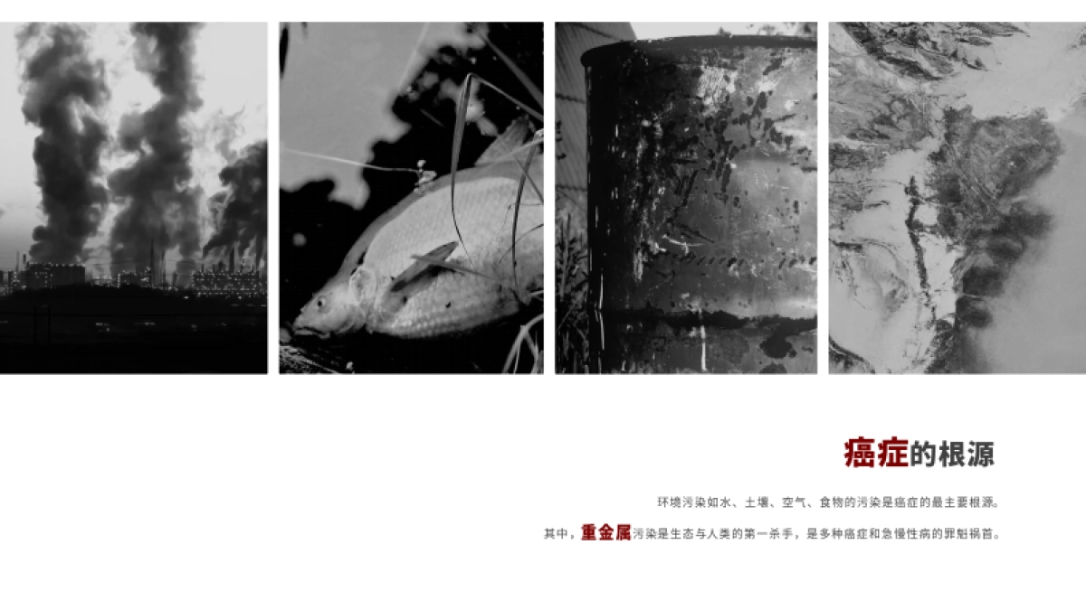 新加坡ZA环保科技商业融资计划书_第3页