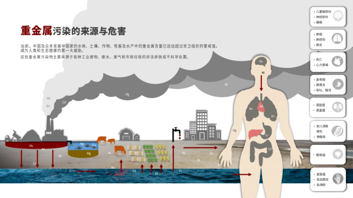 新加坡ZA环保科技商业融资计划书_第4页