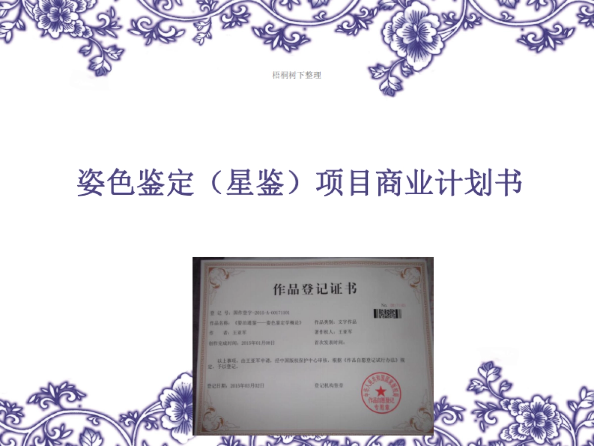 星鉴项目商业计划书_第1页