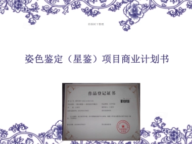 星鉴项目商业计划书