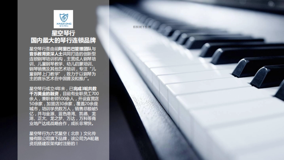 星空琴行商业计划书_第7页