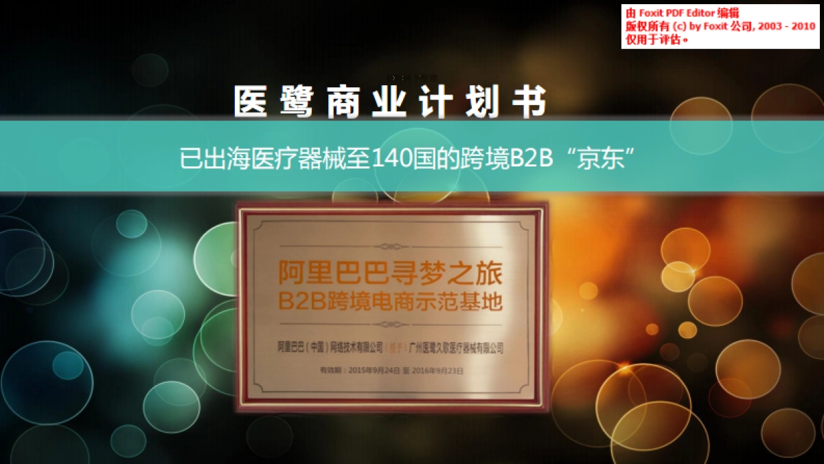 医疗器械跨境B2B商业计划书_第1页