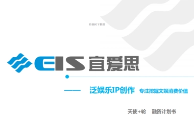 宜爱思信息科技商业计划书