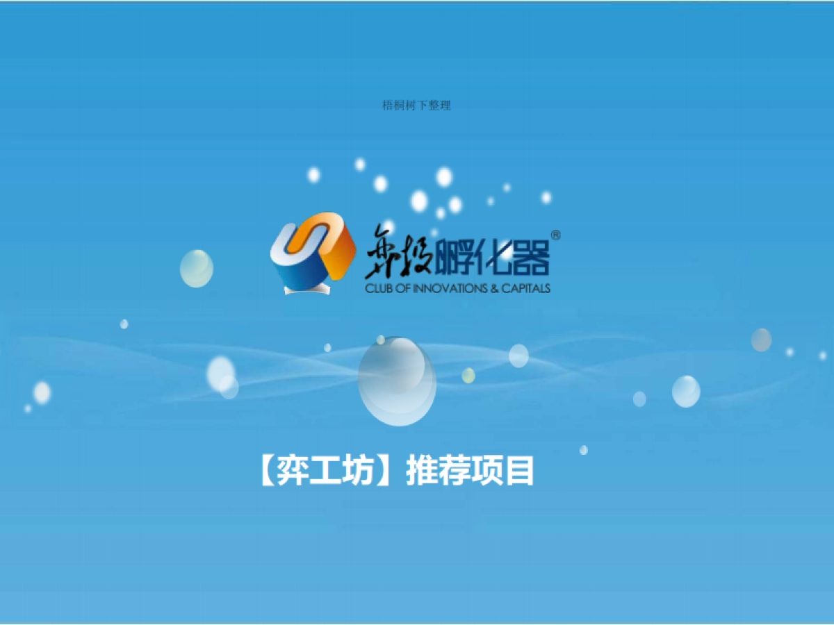 弈投孵化器推荐项目品川能源商业计划书_第1页