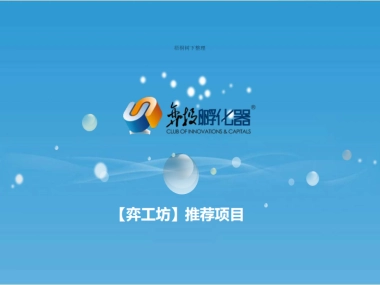 弈投孵化器推荐项目品川能源商业计划书