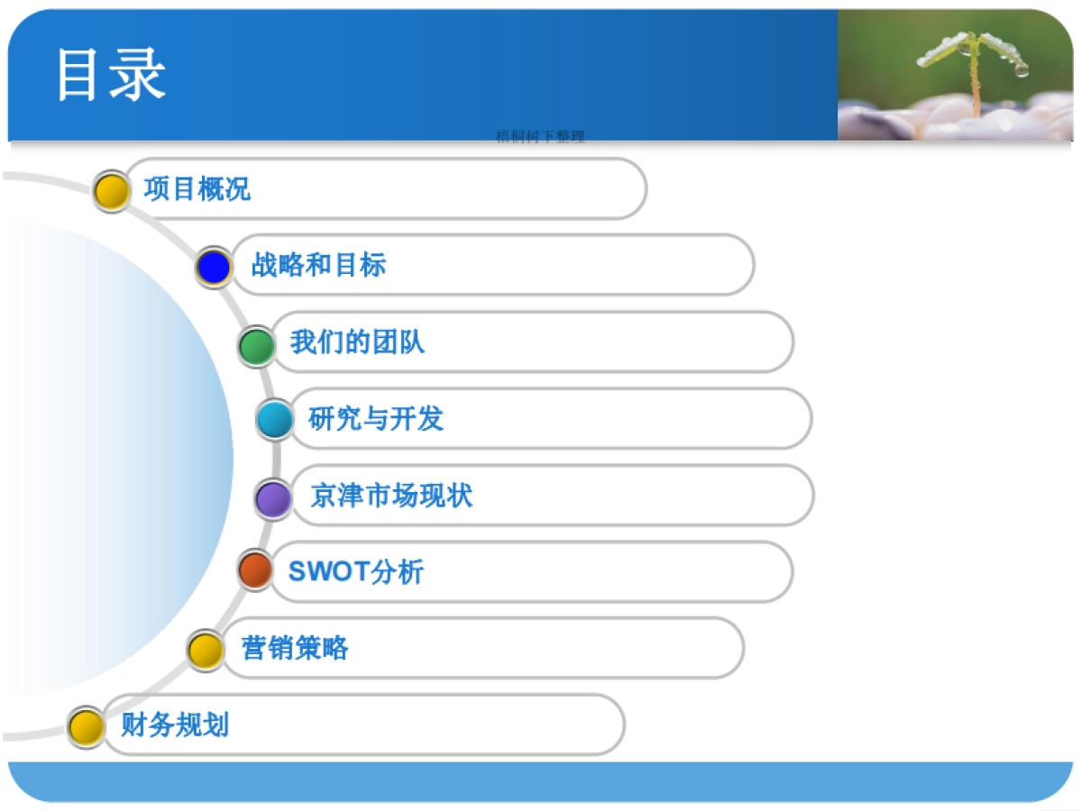 有机蔬菜工厂商业计划书_第2页