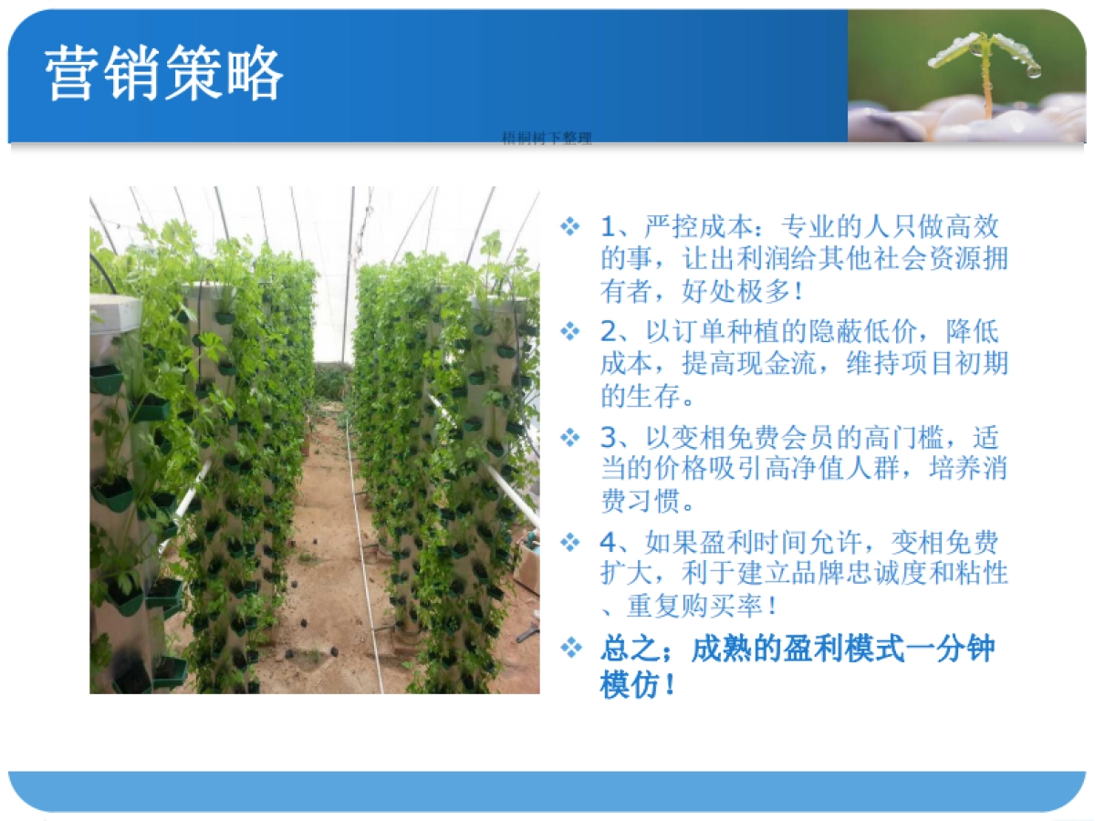 有机蔬菜工厂商业计划书_第9页