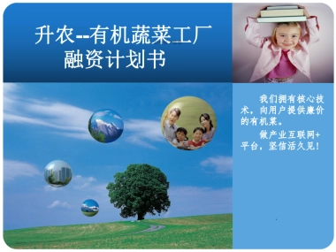 有机蔬菜工厂商业计划书