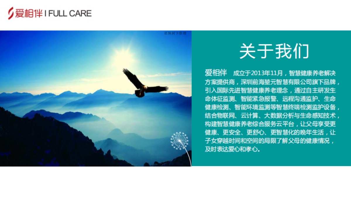 智慧健康养老云平台商业计划书_第2页