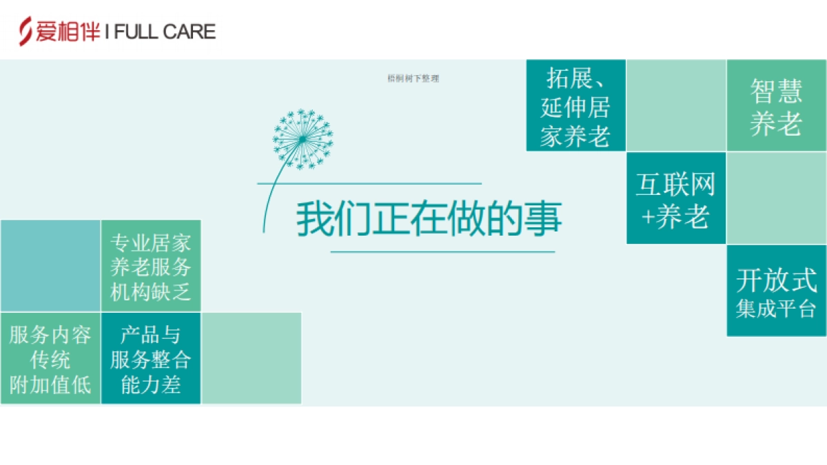 智慧健康养老云平台商业计划书_第7页