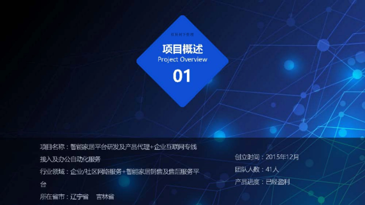智能家居平台研发及产品代理企业互联网专线商业计划书_第2页