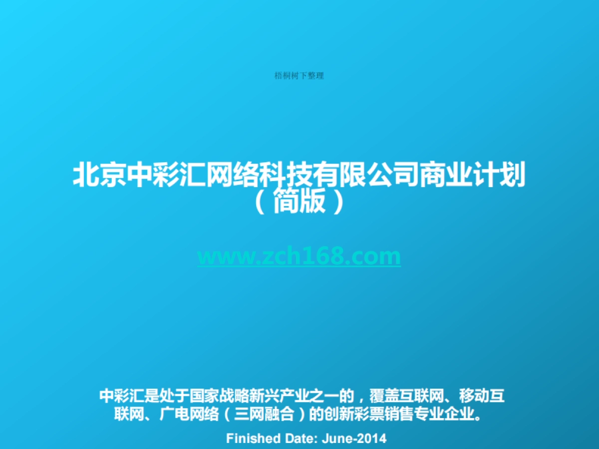 中彩汇商业计划_第1页