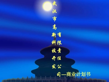 武汉市XX科技开发有限责任公司商业计划书