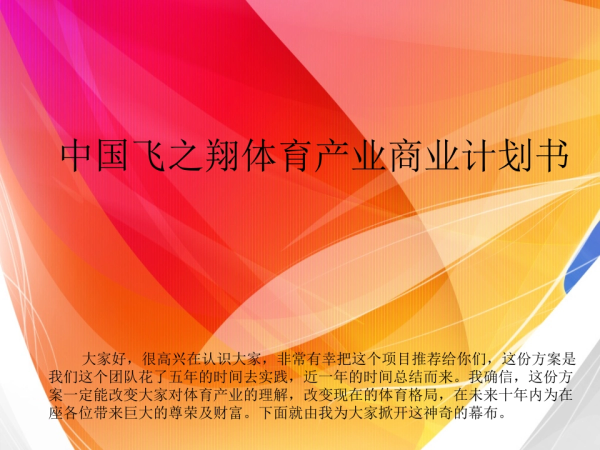 中国飞之翔体育产业商业计划书_第1页