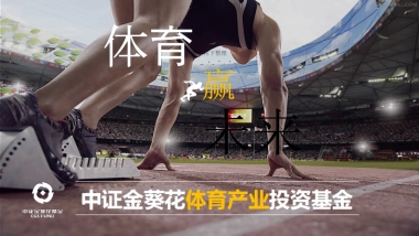 中证金葵花体育产业投资基金.商业计划书