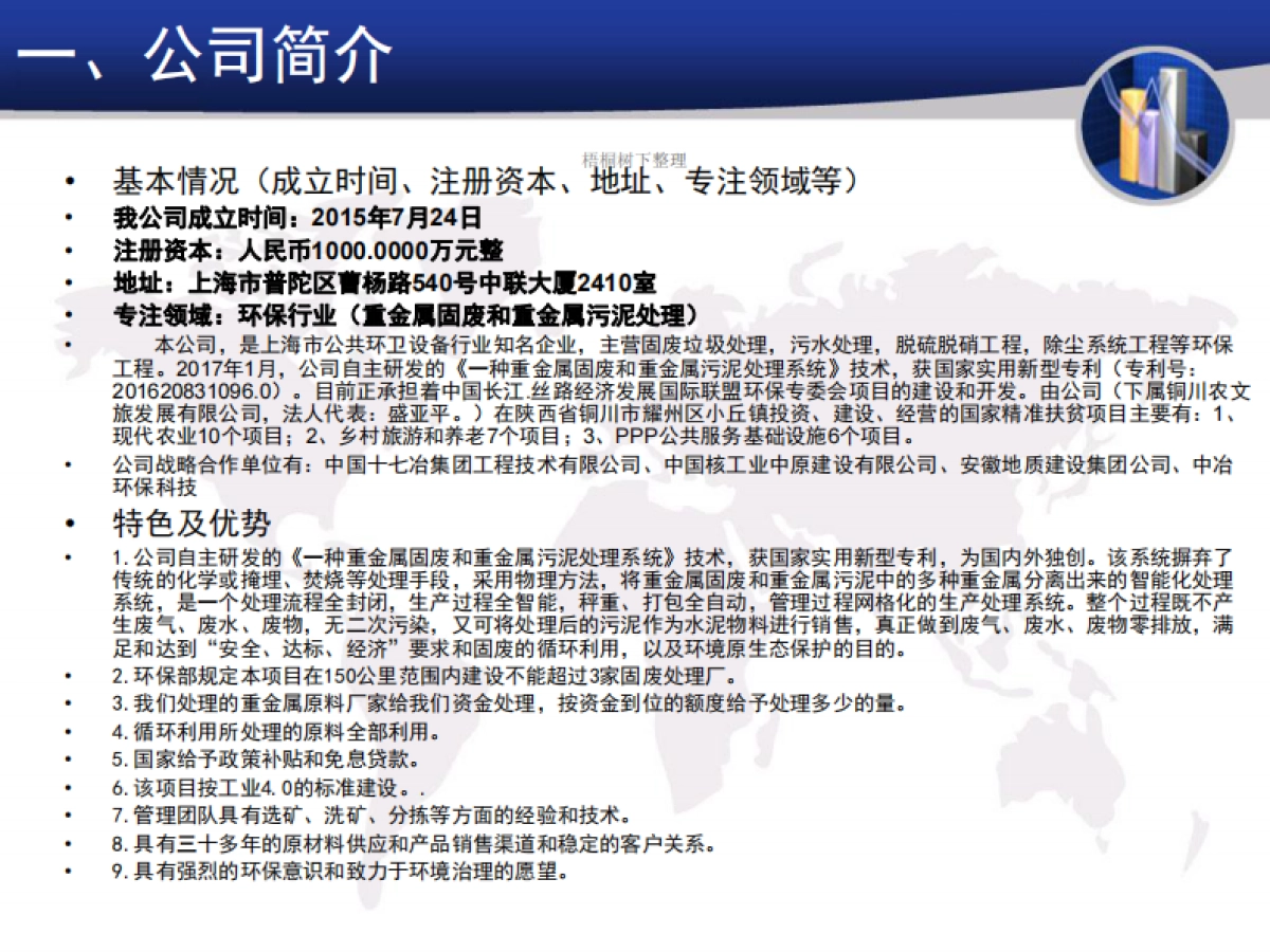 重金属固废处理中心项目商业计划书_第2页