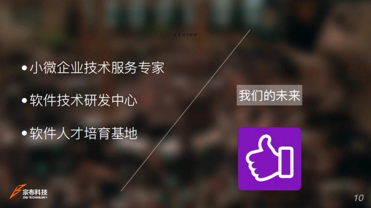 宗布商业计划书_第10页