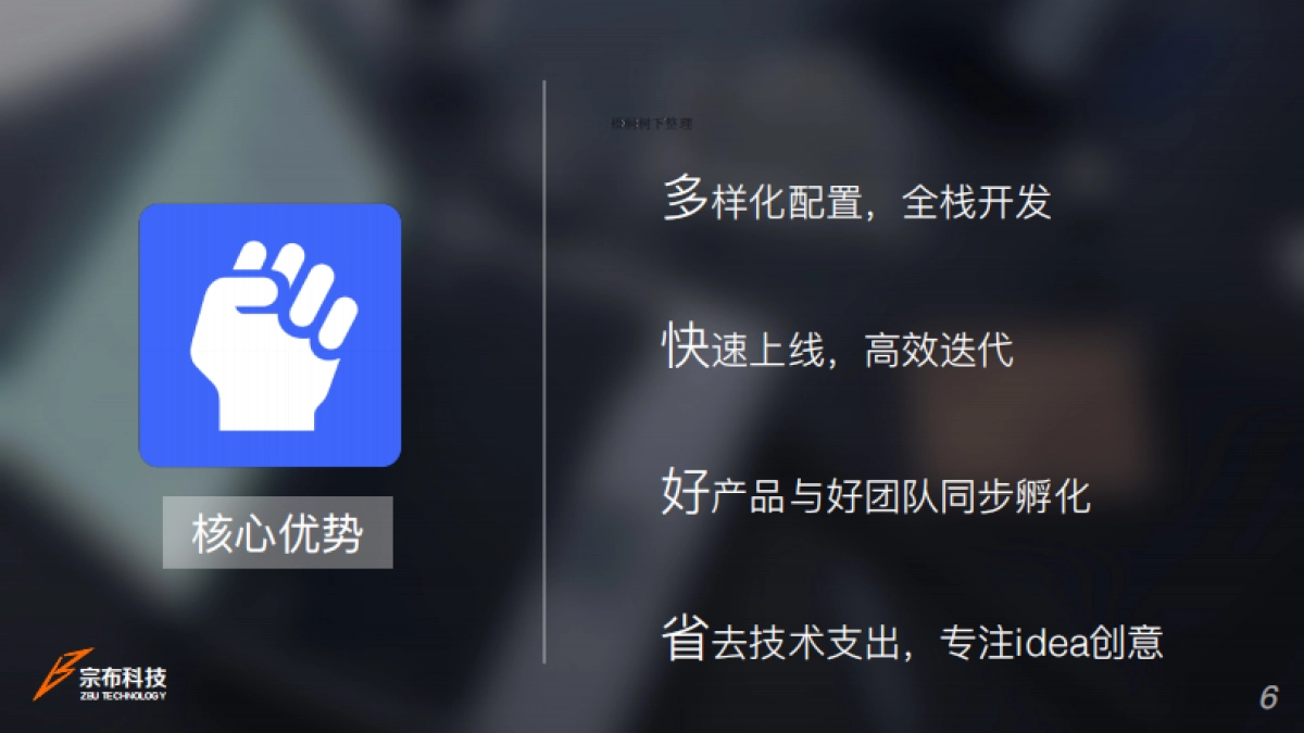 宗布商业计划书_第6页