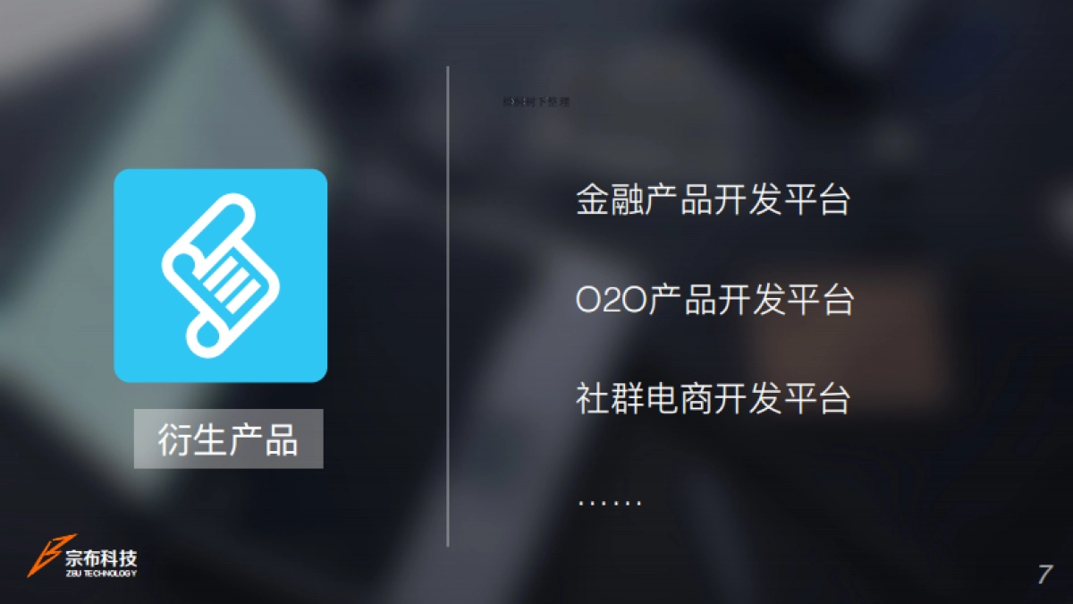 宗布商业计划书_第7页