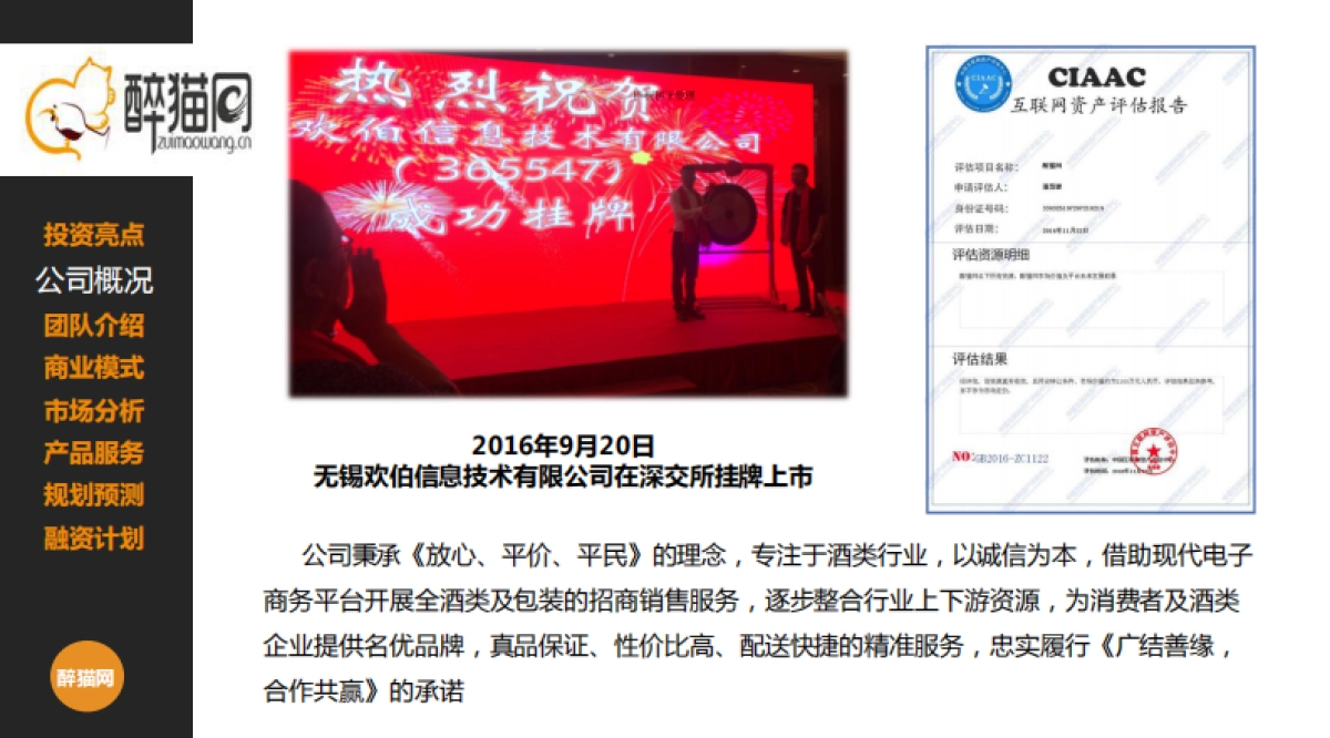 醉猫网商业计划书_第4页