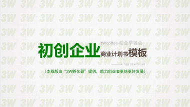 3W孵化器初创企业商业计划书模板