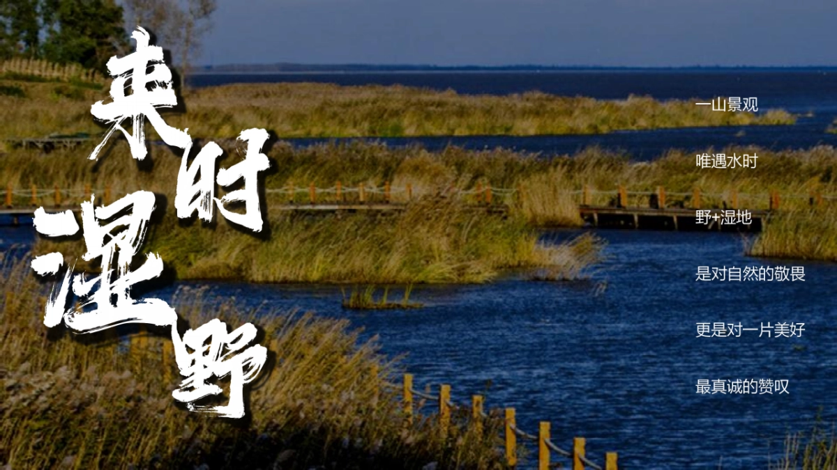 居野精致湿地露营地商业计划书_第2页