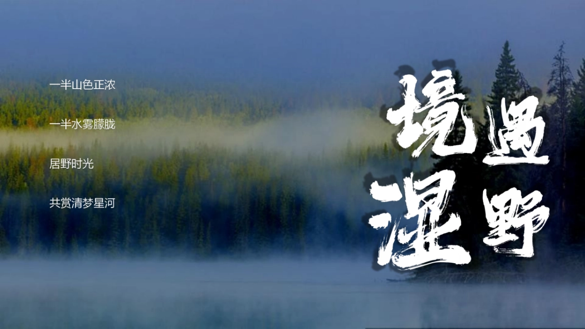 居野精致湿地露营地商业计划书_第3页