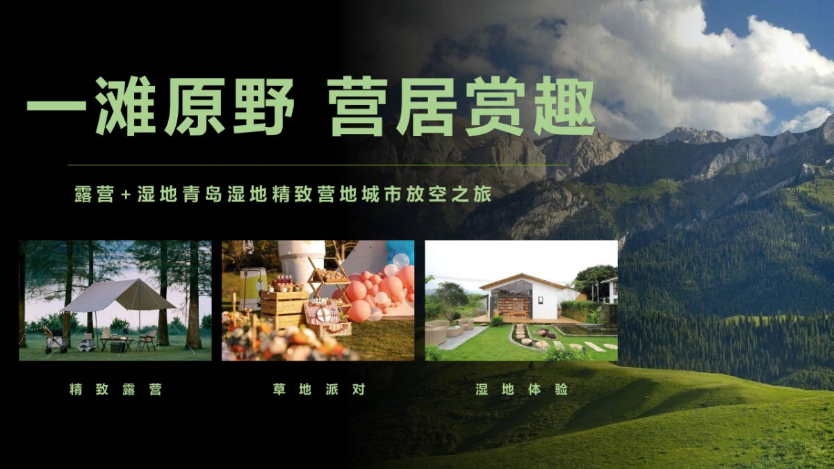 居野精致湿地露营地商业计划书_第5页