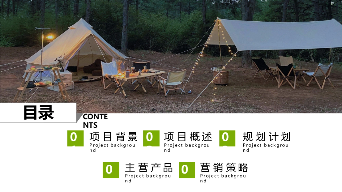 居野精致湿地露营地商业计划书_第6页