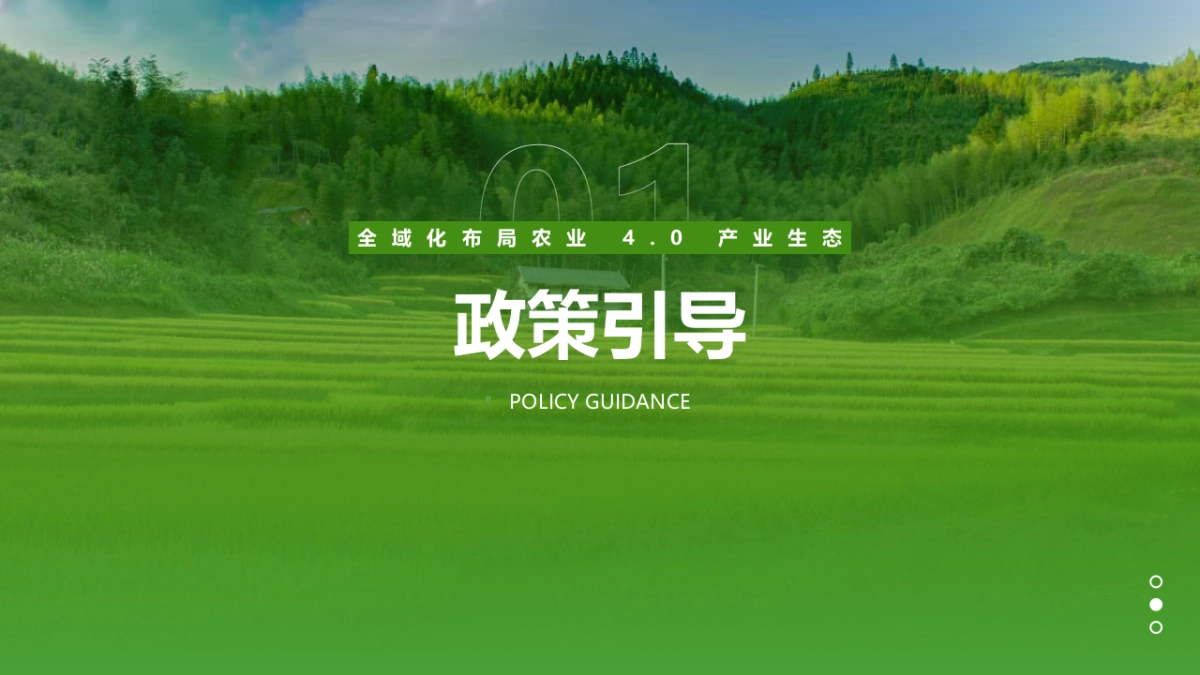 农业4.0项目商业计划书_第2页