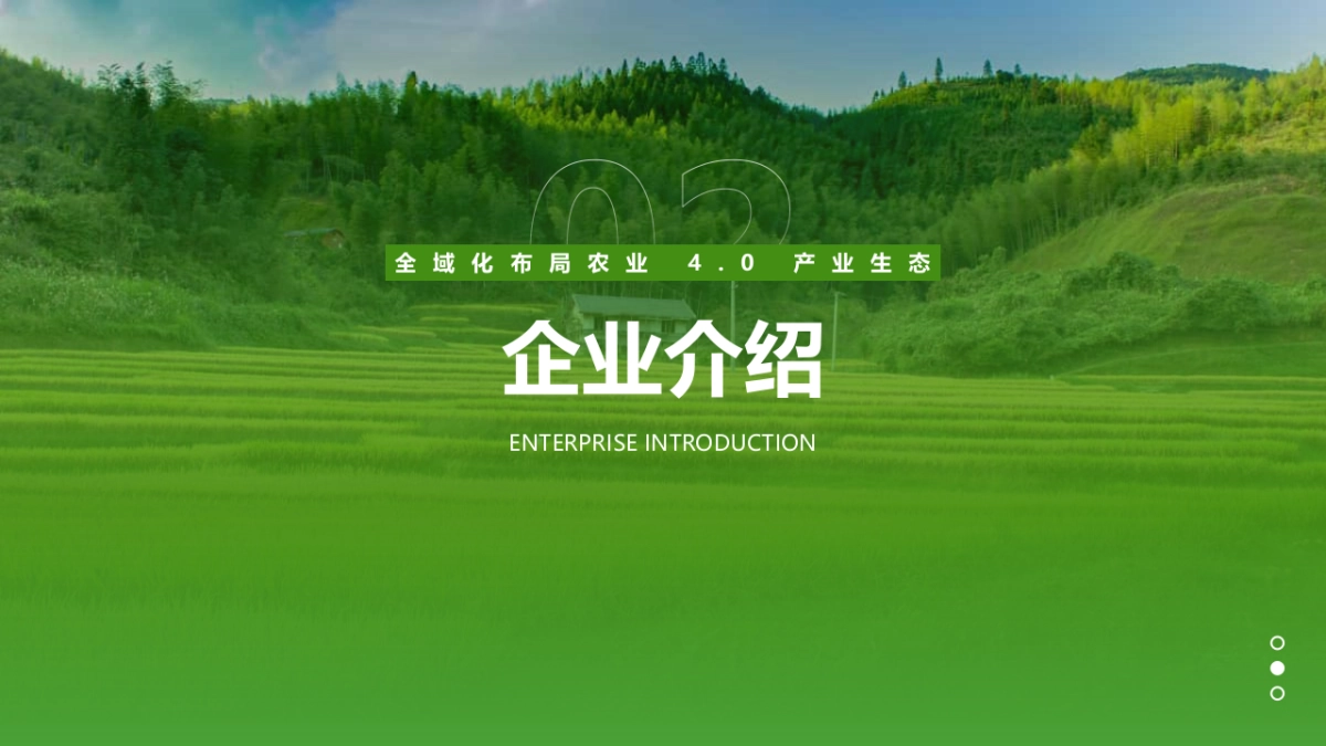 农业4.0项目商业计划书_第4页