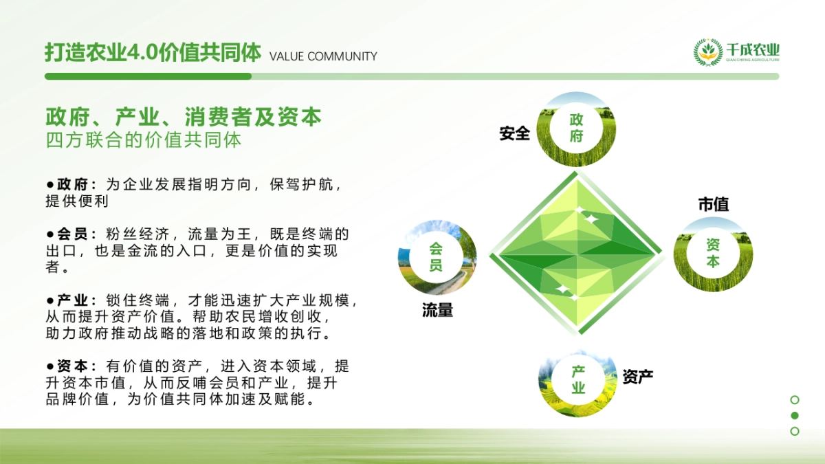 农业4.0项目商业计划书_第8页