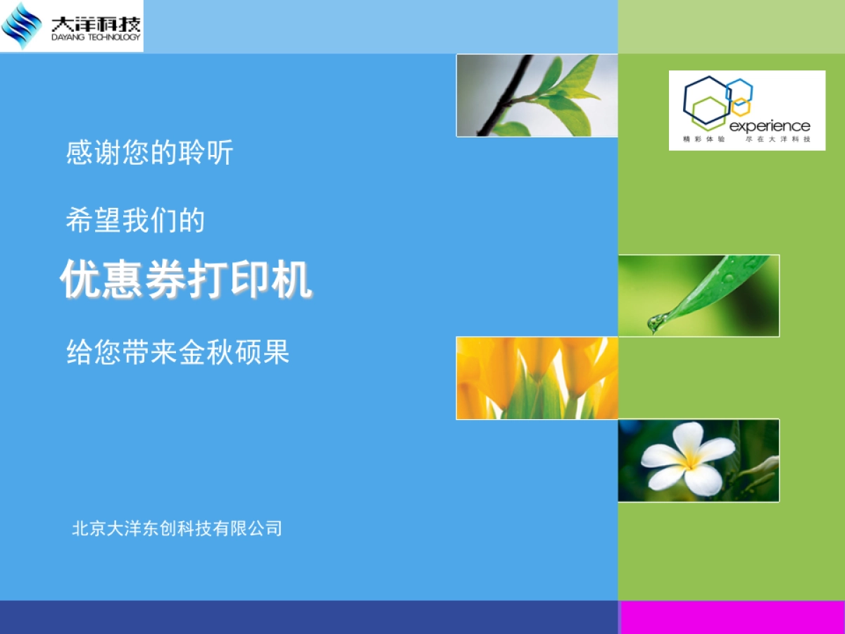 大洋科技优惠券打印机商业计划书_第10页