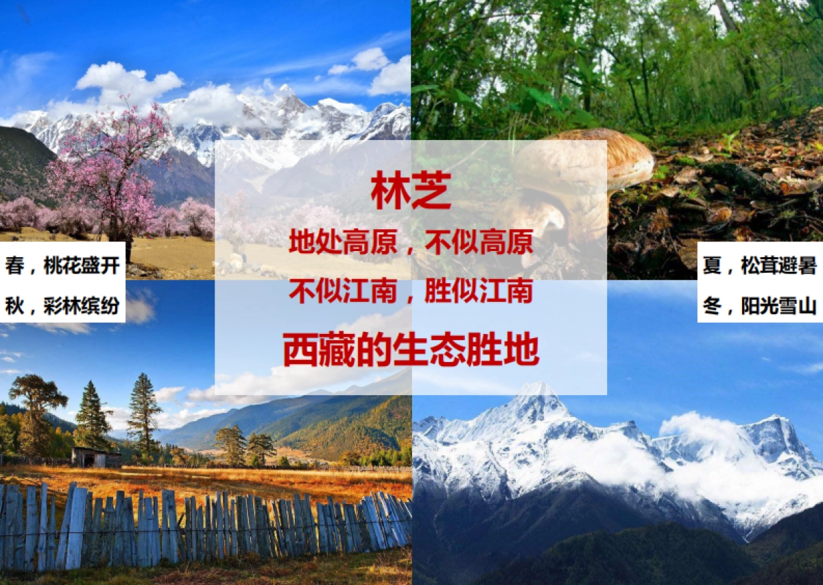 林芝汽车营地主题公园旅游总体规划_第8页