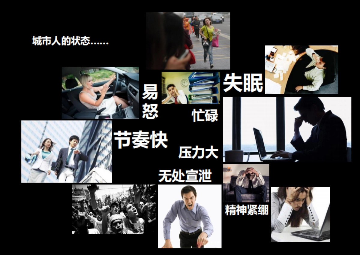 卢氏县双槐树乡旅游节点修建性详细规划_第4页