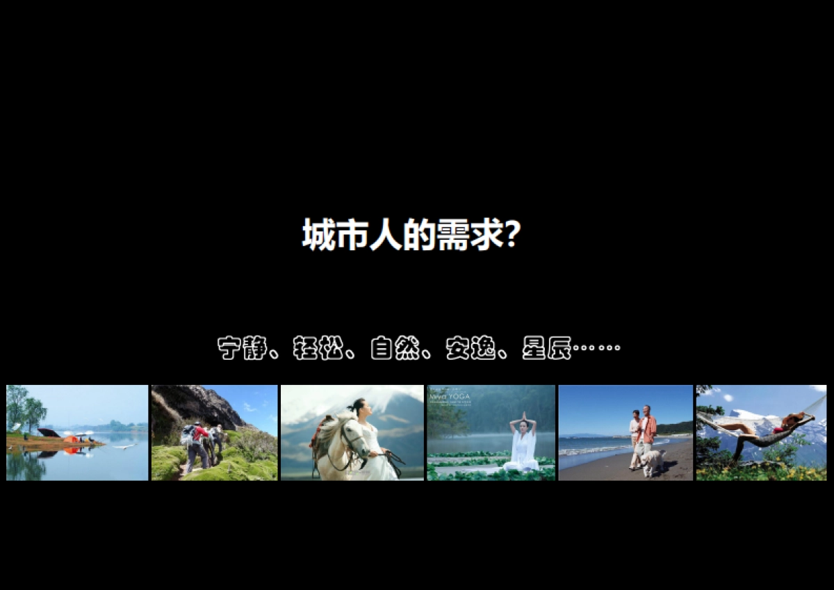 卢氏县双槐树乡旅游节点修建性详细规划_第5页